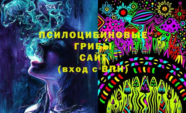 круглые Алзамай