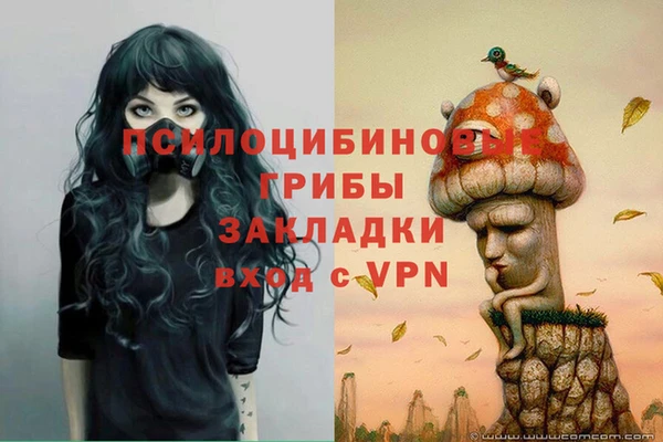 герыч Алексин