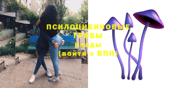 герыч Алексин
